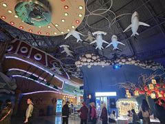 -烟台海昌鲸鲨海洋公园