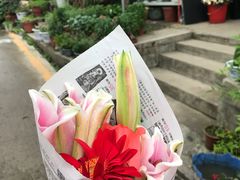 -金陵花卉交易市场