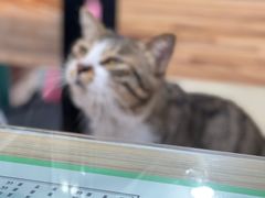 -玉椰林甜品店(创始店)