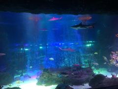 -沈阳海洋探索中心