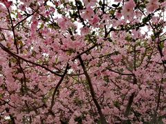 -同济大学(嘉定校区)