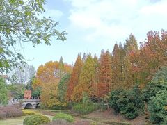 -蠡湖中央公园