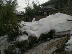 -静之湖湖畔餐厅