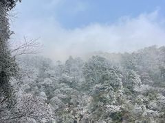 -东天目山风景区