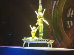-珠海横琴长隆《卡卡虎奇遇记》