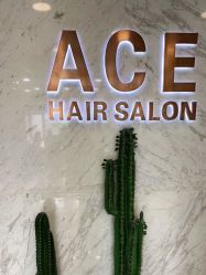 -ACE造型