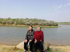 -丁香湖公园