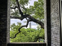 -江心屿景区