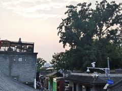 -Sirena海妖日咖夜酒