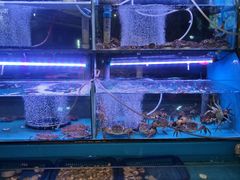 -好爸爸(外滩店)