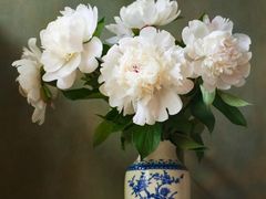 -好运来蛋糕店(今麦郎店)