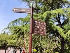 -莲花池公园