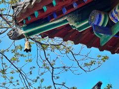 -济南大明湖景区