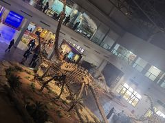 -自贡恐龙博物馆