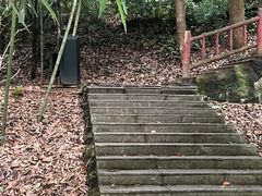 -潜山国家森林公园