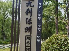 -九科绿洲