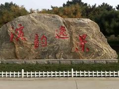 -塘沽森林公园