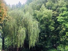 -乌镇东栅景区