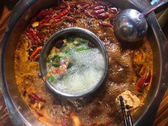 -金鼎雪山牦牛杂火锅(理县总店)