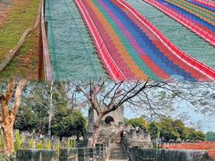 -松山湖梦幻百花洲