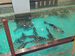 -鱼痴渔醉·食鲜集(月亮湾店)