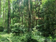 -上海怡沁园度假酒店