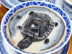 -韵姐牛奶甜品世家