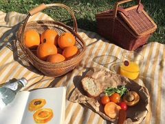 -艾溪湖湿地公园