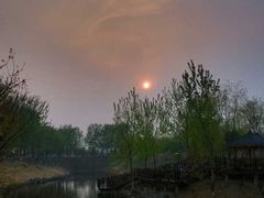 -大兴滨河森林公园