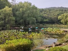 -棒棰岛宾馆景区