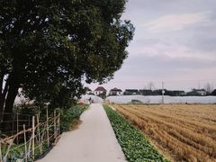 -小鱼草莓采摘园农家乐·小鱼餐厅