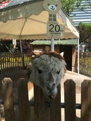 -萌宠亲子动物乐园(槐房万达店)