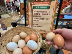 -友谊阳光城