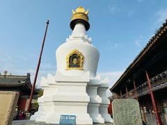-五台山风景名胜区-罗睺寺