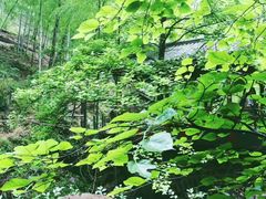 -藏龙百瀑风景区