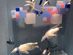 -爱马仕 HERMES(上海ifc商场店)