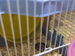 -FAELING PETS美天灵宠物(富力广场店)