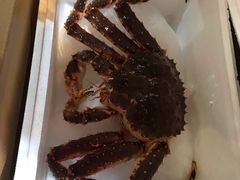 帝王蟹-盒马鲜生(红莲店)