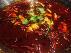 现炒料美蛙鱼头老锅底-红牌美蛙鱼头火锅(万辉国际广场店)