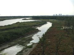 -春花秋色城市公园