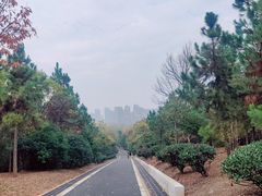 -大蜀山国家森林公园