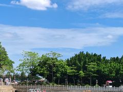 -龙舟池