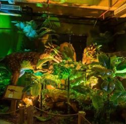 -恐龙探索乐园(磁器口店)