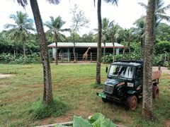 -海南热带野生动植物园
