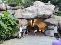 -乌山风景区
