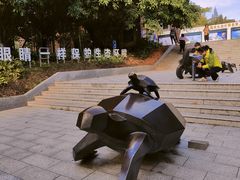 -广东惠东海龟国家级自然保护区