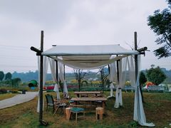 -紫颐香薰山谷景区