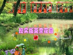 -上海共青森林公园