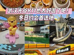 -武汉光谷K11
