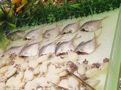 -鼎级香· 火锅烤肉自助丨涮烤一体(蜀山唯品会店)